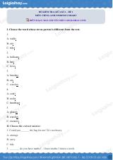Đề thi giữa kì 1 Tiếng Anh 5 Phonics Smart - Đề số 1